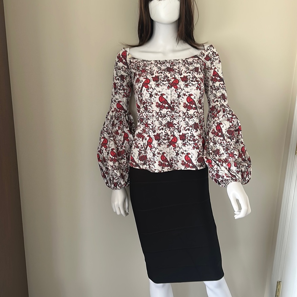 Lovely Caroline Constas blouse!